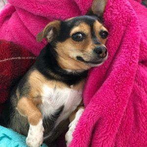 Meet your Posher, Vicky